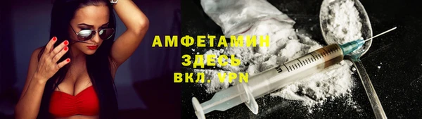 шишки Новодвинск