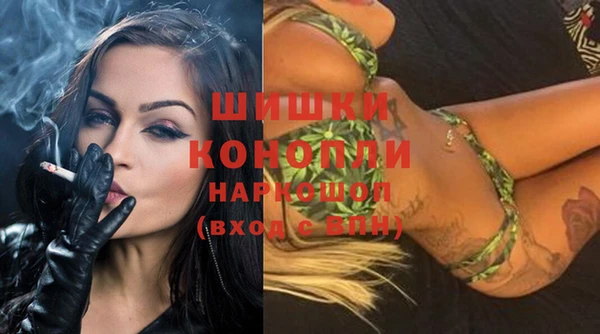 сатива Нягань