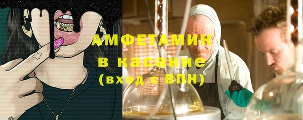 шишки Дмитров