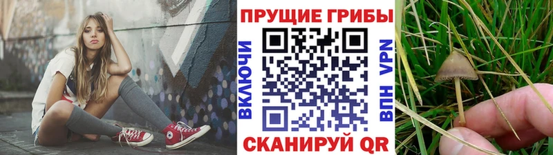 Галлюциногенные грибы ЛСД  Ликино-Дулёво 